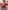 Bedruckte Jungen Kapuzensweatjacke mit Recycling-Polyester