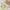 Badespielzeug Kescher Frosch Plansch & Play
