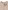 Baby Strickjacke aus Baumwolle BASIC