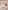Bio-Kollektion: 2er-Pack Baby Strampler mit Blumen