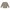 Pullover Ringel