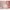 Bundle Sleepi inkl. Matratze und Spannbetttuch
