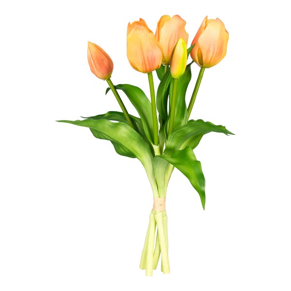 Produktvorschaubild 1