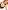 2er-Pack Still-BHs aus Bio-Baumwolle, Schwangerschaft & Stillzeit