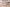 Geburtstagszug Holz Scandi-Chic Berry 0-99 Jahre