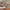 Beistellbett Thomi Plus 5in1