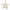Greifling Knister-Seestern Meereskinder