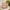 Kindersitzgarnitur Outdoor+, natur  Outdoor+