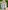 Festliches Jungen-Set: Sakko, Hemd, Hose und Fliege