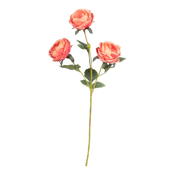 Produktvorschaubild 1