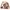 Kuscheltier Cowgirl Hoppie Hase 32cm