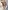 5er-Pack rutschfeste Baby Frottee-Socken