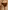 3er-Pack Umstands-Slips, Bio-Baumwolle