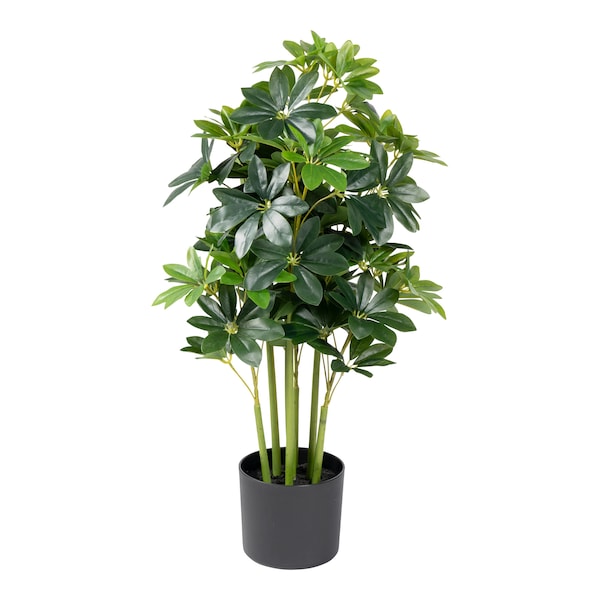 Produktvorschaubild 1