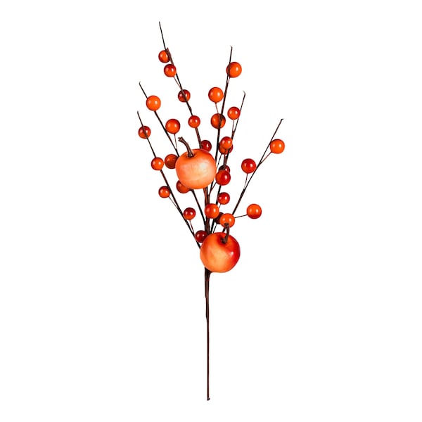 Apfel