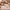 Kinder Teppich Maui Kids Baustelle