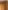 Musselin-Vorhang mit Tunnelzug lichtdurchlässig halbtransparent Kinderzimmer