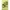 Trinkflasche aus Edelstahl 350 ml