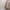 2er-Pack Stilleinlagen aus Merinowolle und Seide, 2-lagig, waschbar