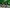 Teppich Creeper Minecraft