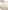 3er-Set Wanddeko WOLKEN Teddyfleece Kinderzimmer