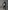 Jungen Steppjacke mit Kapuze, Recycling-Polyester