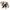 Kuscheltier Hund Lucky 40cm