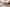 Eiche Bett "Luis" massiv Einzelbett Futonbett Doppelbett