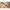 Trinkflasche aus Edelstahl 500 ml