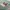 Babydecke Microfaserflausch 75x100 cm 
