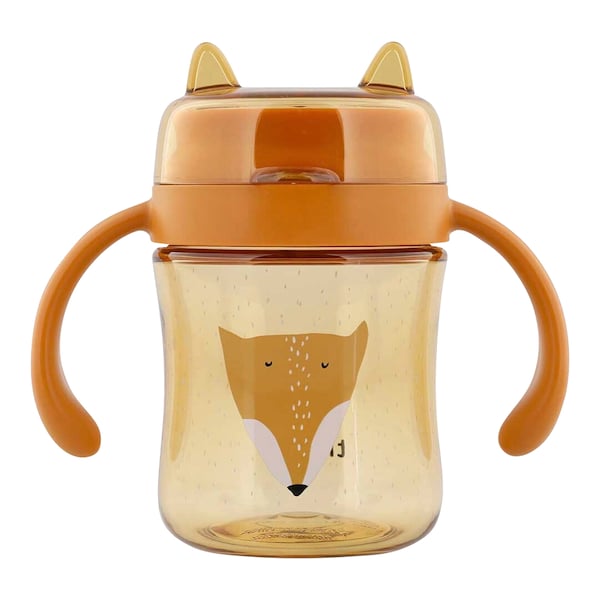Mr. Fox