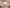 Kinderzimmerset Jimmy cashmere/eiche