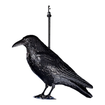 Vogelschreck "Rabe"