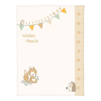 Babydecke Microfaserflausch Meilenstein 75x100 cm
