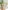 Activity-Baum aus Holz FSC®