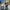 Citybike Sydney 20 Zoll / 24 Zoll